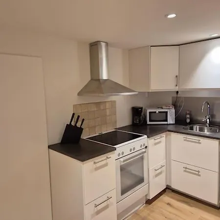 Fin Kjellerleilighet Pa Ranheim Apartman